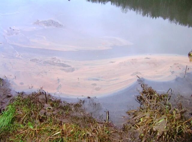 Крупные реки западной сибири. Обь река новосибирск экологическая. Загрязнение реки обь. Водные ресурсы волги. Проблемы реки обь и их решения.
