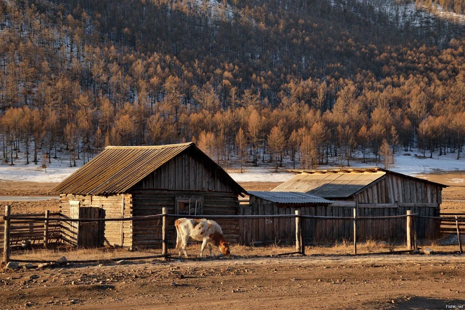 Фото сибирских домов. Таежные поселки в Сибири. Таежные деревни Забайкалья. Сибирская деревня, поселок, село. Сибирские деревни в тайге Байкал.