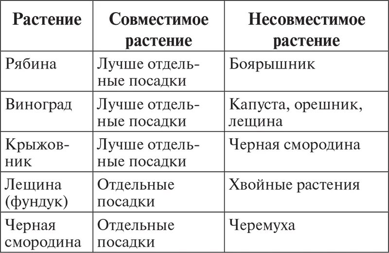 Совместимость деревьев и кустарников в саду таблица. Совместимость плодовых деревьев и кустарников в саду таблица. таблица совместимости плодовых кустарников. совместимость посадки плодовых деревьев и кустарников в саду. таблица совместимости растений в саду.