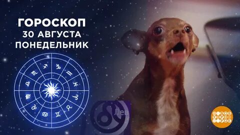 Гороскоп доброе утро 27.03 2024