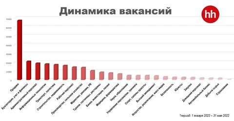 Какую профессию выбрать в 2024 году