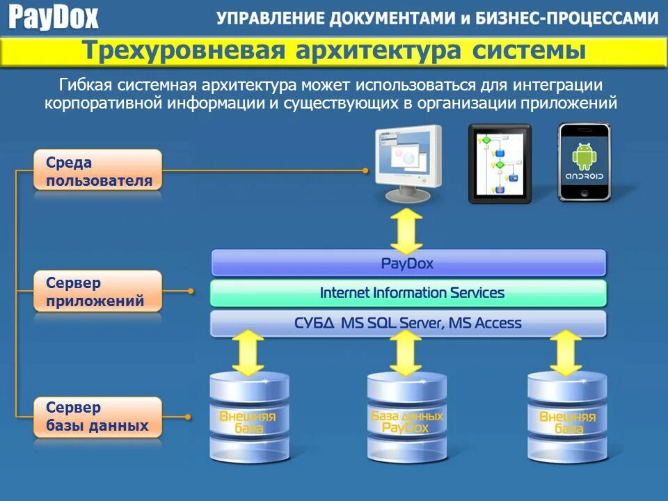 Представляет собой единую систему данных. Трёхуровневая архитектура систем баз данных. Трехзвенная архитектура. Трехуровневая архитектура информационной системы. Архитектура системы PAYDOX.