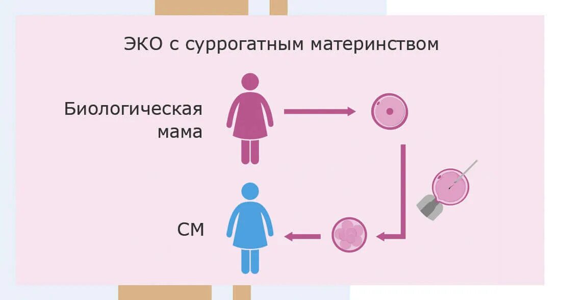 Суррогатное материнство схема. Этапы суррогатного материнства. Как происходит суррогатное материнство. Процедура суррогатного материнства. Сколько стоит суррогатное материнство 2024