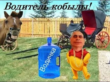 Водитель кобылы 5 букв