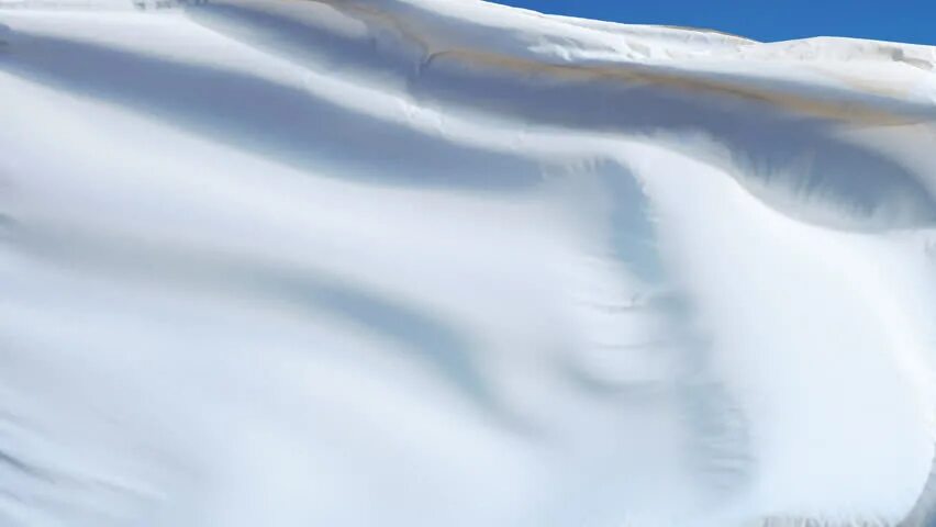 Clear flag. Clear flag