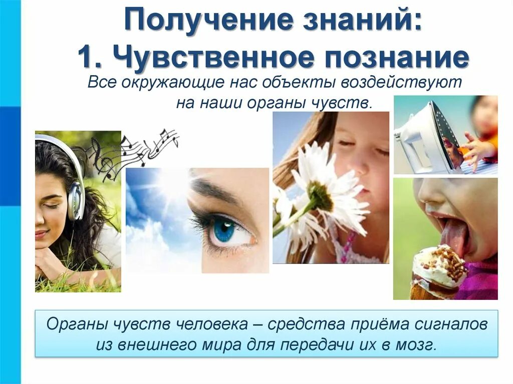 Чувственное познание познание с помощью