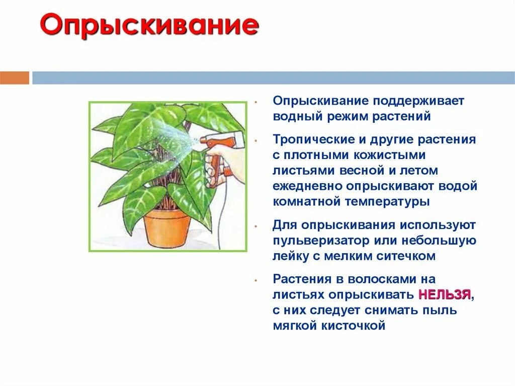 Правила опрыскивания растений. Правила опрыскивания растений. Опрыскивание рассады. Правила опрыскивания растений. Средства защиты растений от вредителей.