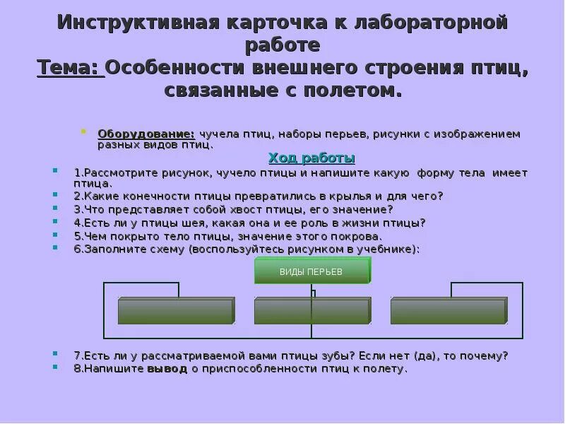 Лабораторная работа внешная строения птицы. Лабораторная работа особенность внешнего строения птиц. Лабораторная работа изучение внешнего строения птиц. Лабораторная работа внешнее строение птиц.