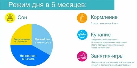 6 месяцев в сутках