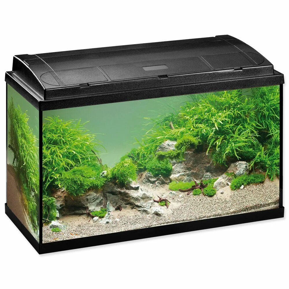 Ferplast cayman 60 professional (75 л. аквариум zelaqua 400. аквариумные производители. Ferplast аквариум cayman. изготовление аквариумов.