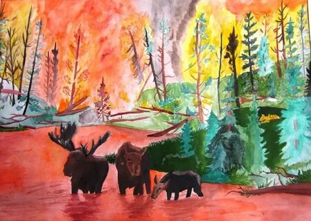 Рисунок пожар в лесу