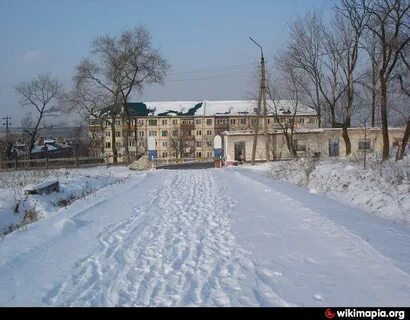 Приморском поселке раздольное