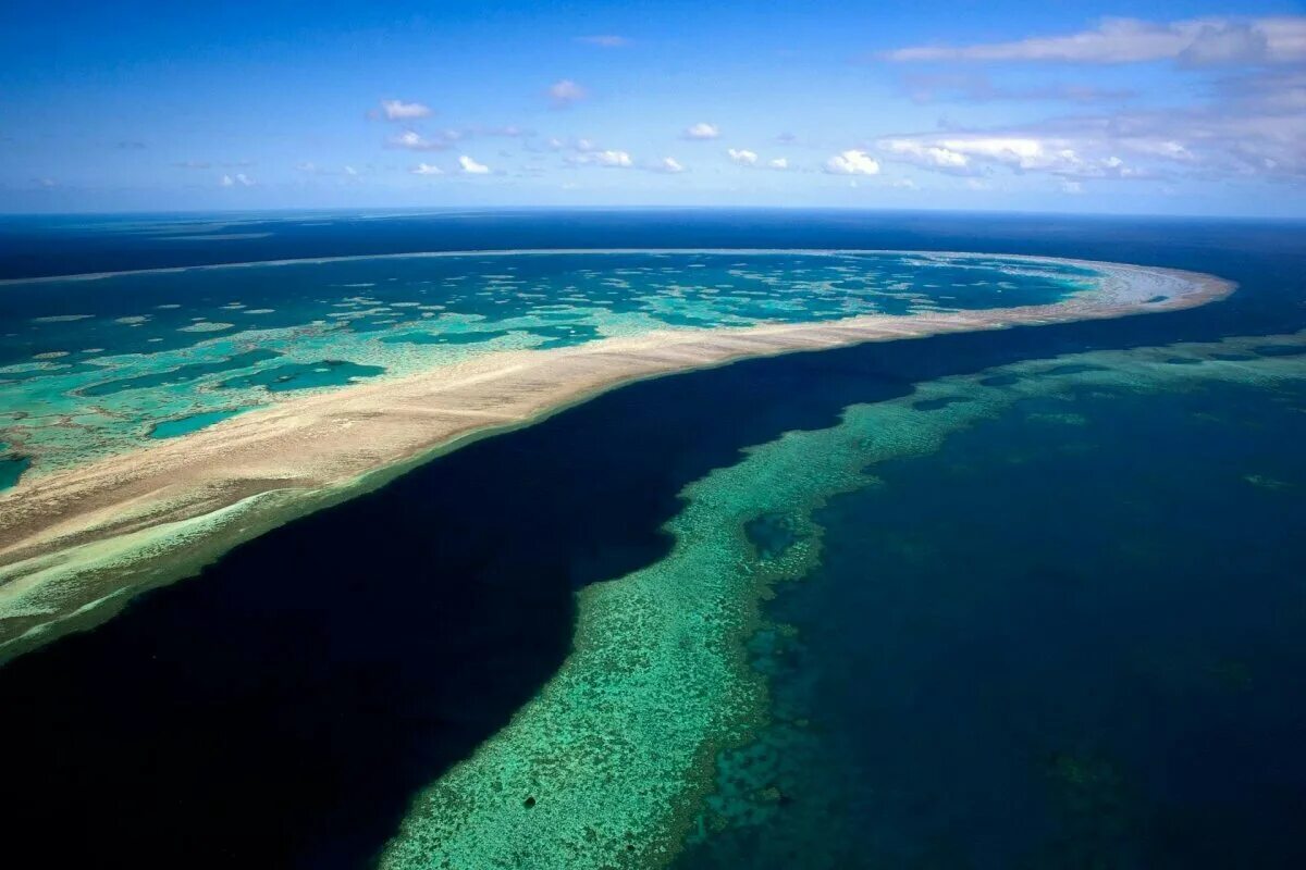 барьерный риф в австралии. коралловый остров леди масгрэйв австралия. барьерный коралловый риф в австралии. большой барьерный риф квинсленд. большой барьерный риф туристы.