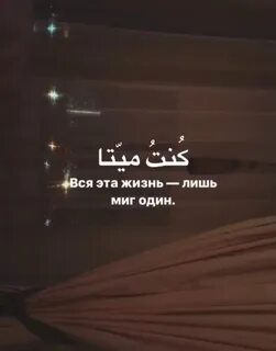Всего лишь жизнь 2