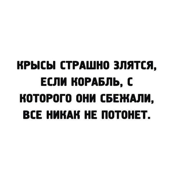 Иногда чтобы крысы сбежали. Крысы бегут с корабля цитата. Крысы страшно злятся если корабль. Крысы страшно злятся если корабль с которого они сбежали не тонет. Высказывания про крыс бегущих с корабля.