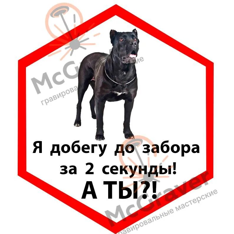 Добежав до забора собака опять мгновенно разворачивается. Я добегу до забора за 2 секунды а ты табличка. открытка с днем рождения с собаками кане корсо.