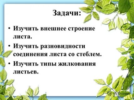 Задачи изученных видов