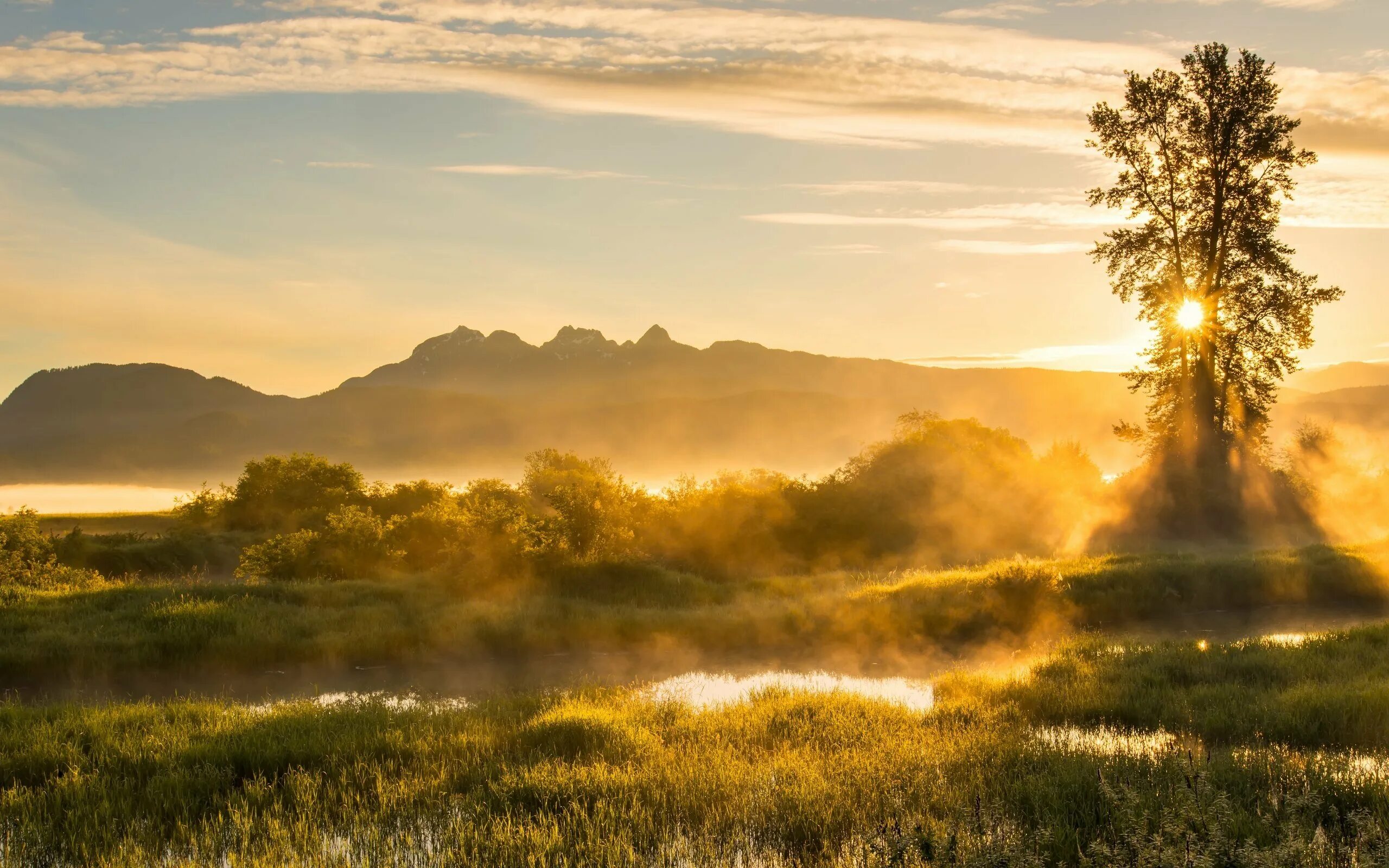 Рассвет солнца. Красота русской природы. Открытки про зной. Зной твоей. Солнце над пустыней.