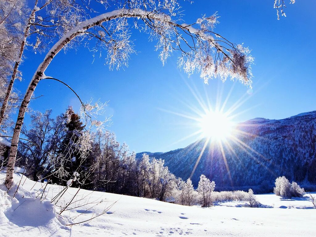 Февраль новая жизнь. Зима солнце. Зимняя природа. Красивая зима. Зимнее утро.