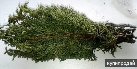 Сат артыш
