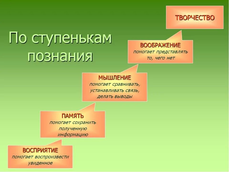 Ступени познания в психологии. Воображение понятие. Формы мышления и воображения. Какая мысль воображения