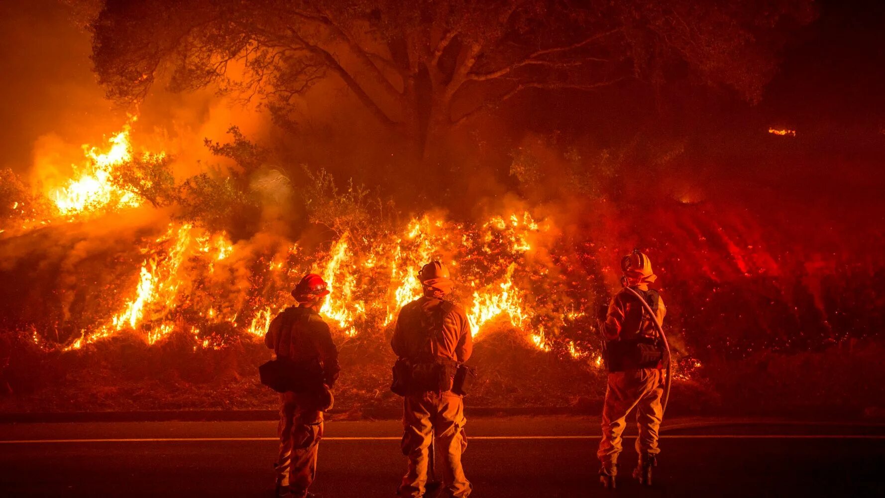 Fire guard 250. Пожары в австралии люди. Человек охвачен огнем. Человек огонь. Огонь пожар.