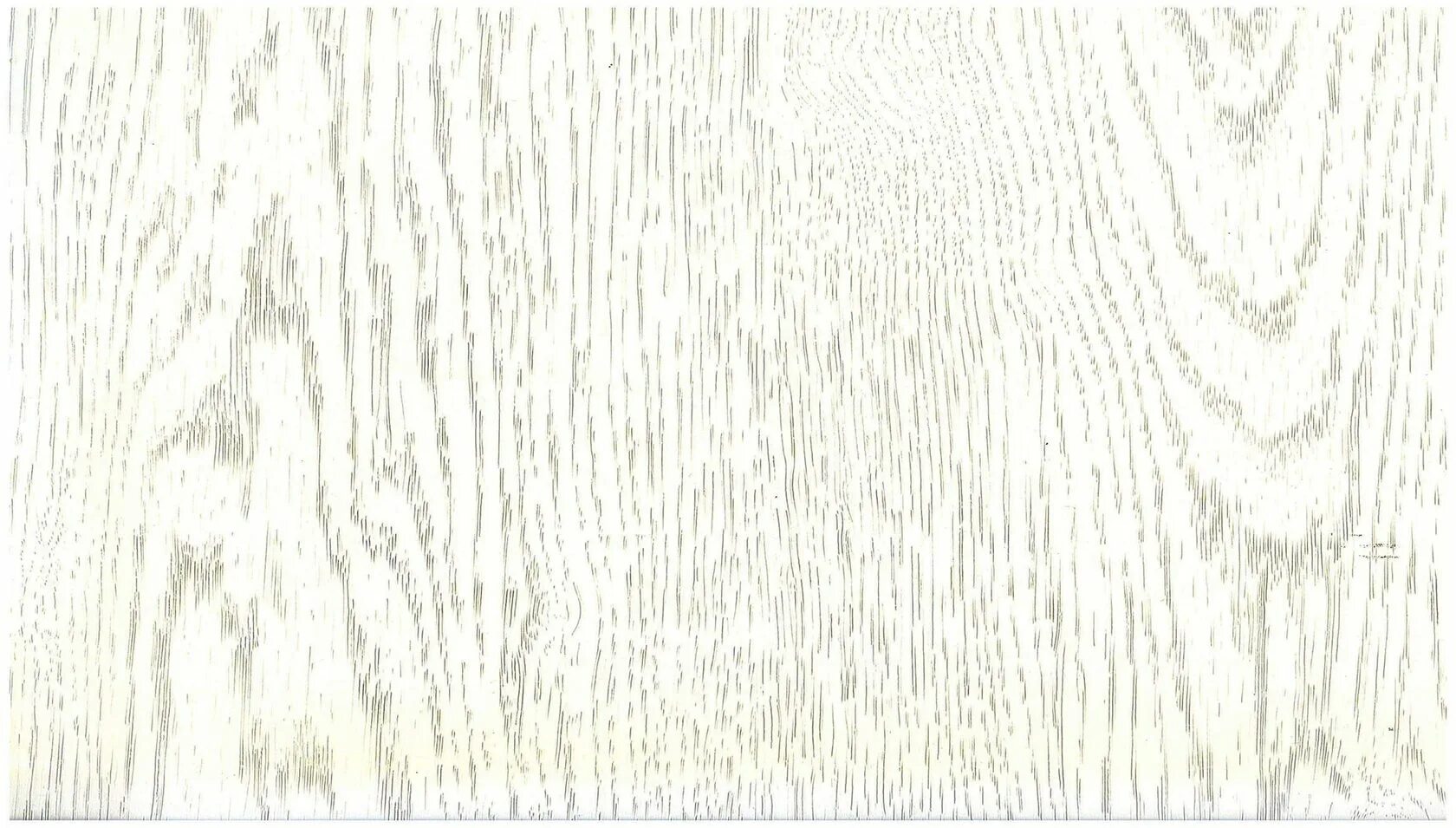 дуб млечный u1095 pr. выбеленное дерево текстура бесшовная.