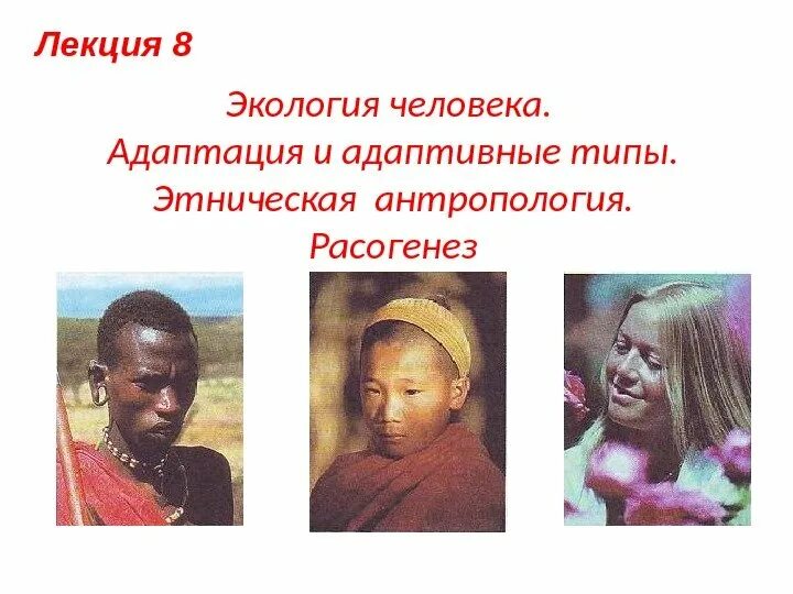 Этническая адаптация