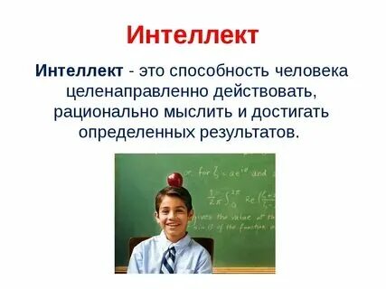 Объясните что такое интеллект