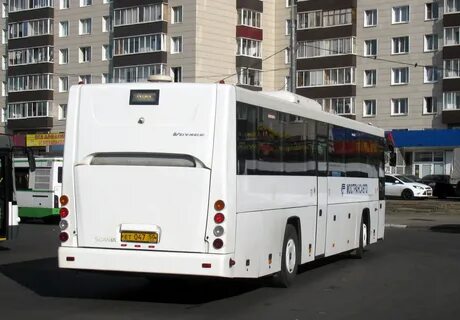 509 автобус