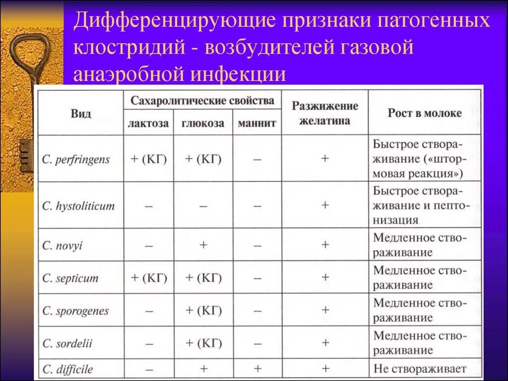 Виды дифференцирующих признаков