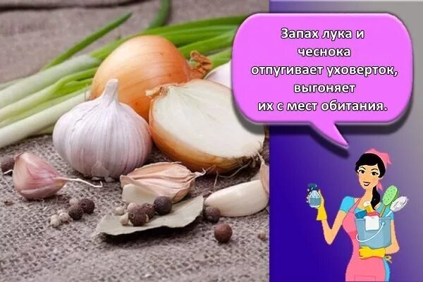 Газы пахнут чесноком