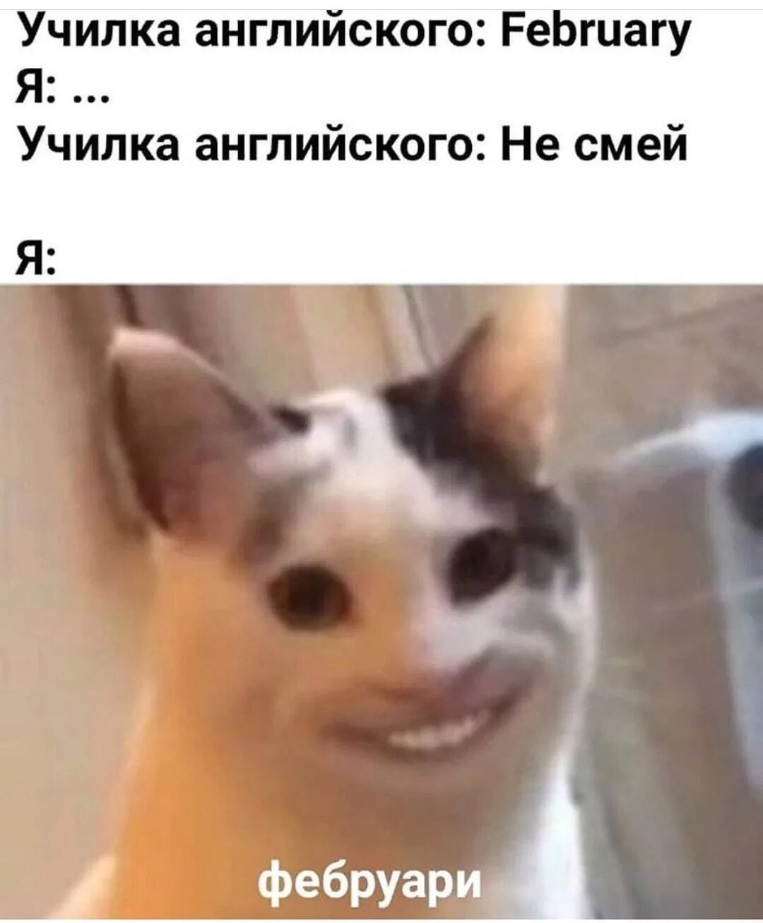 Смешные мемы 15 января 2025 ТИПИЧНЫЙ КИРОВ 23 ноября 2024 в 18:00