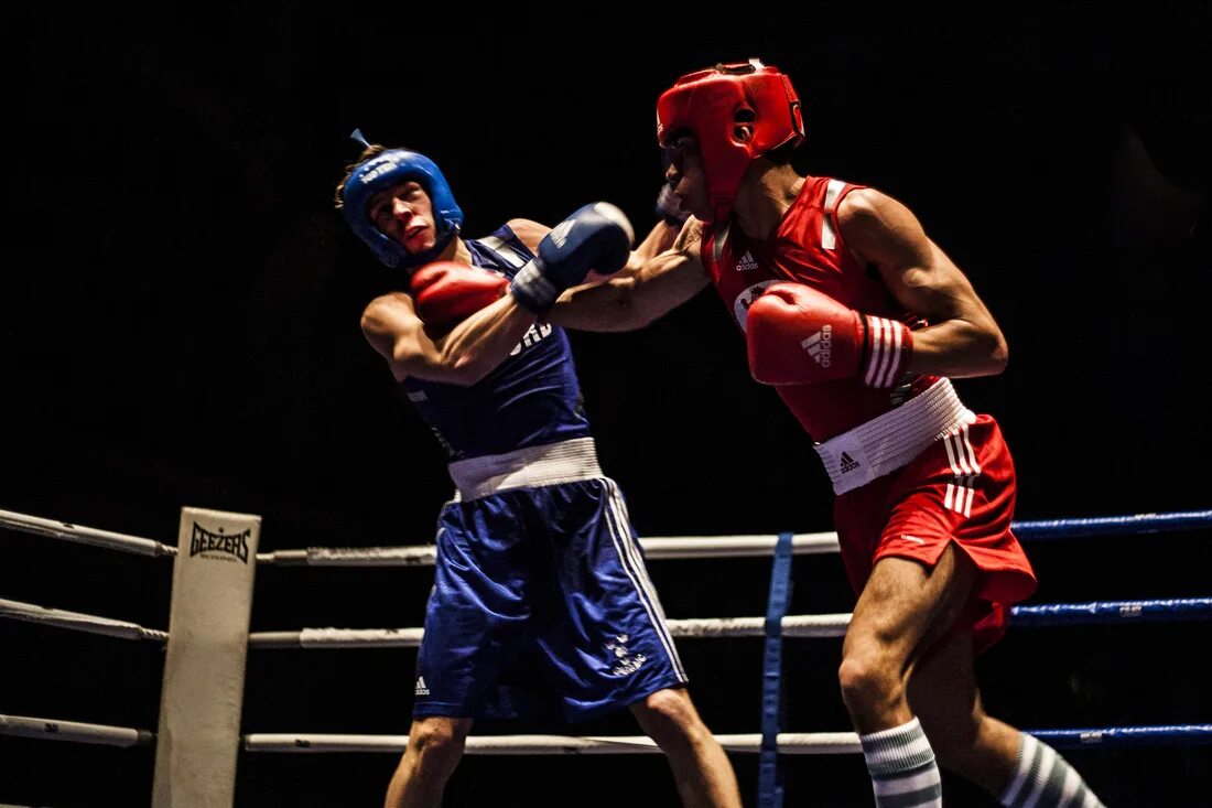 Study boxing