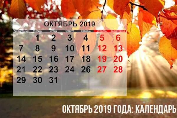 Изменения октябрь 2019. Календарь октябрь. Октябрь 2019 календарь. Календарик октябрь. Календарь октябрь фото.