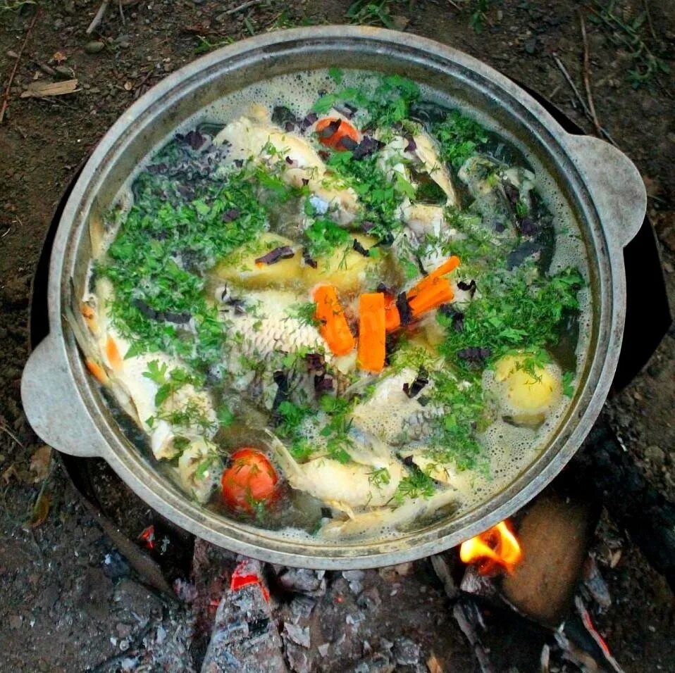 Как приготовить вкусную уху