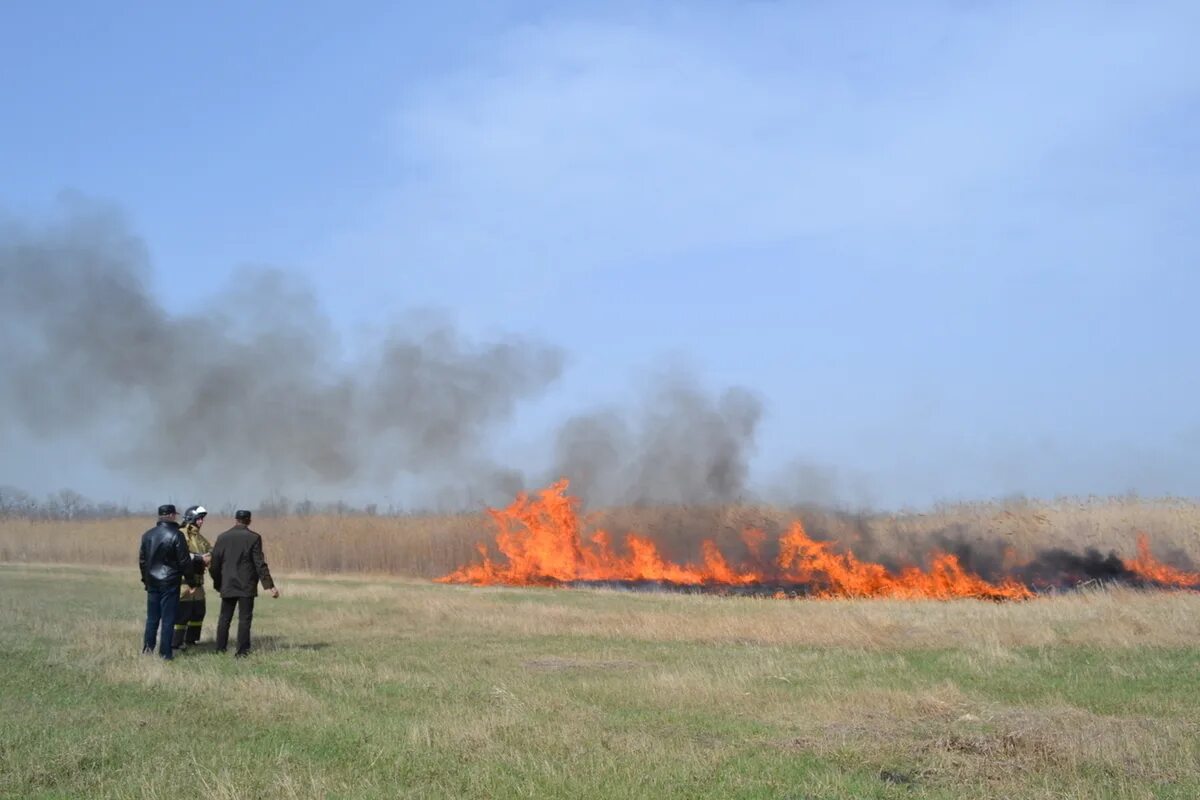 Правильный поджог. Сжигание мусора на дачном участке штраф. Правильный поджог. Выжигание сухой растительности. Бочка для сжигания веток.