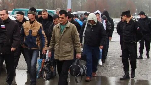 В аэропорту домодедово мигрантов ведут на депортацию