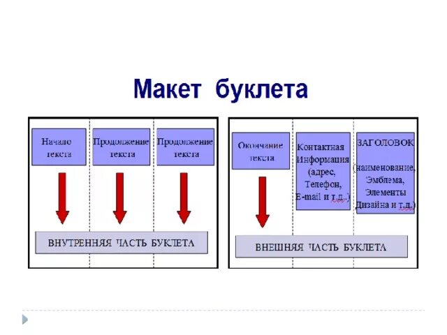 Структура буклета. Строение буклета. Строение буклета правильное. Этапы создания брошюры. Что такое буклет в проекте