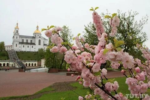 Апрель беларусь