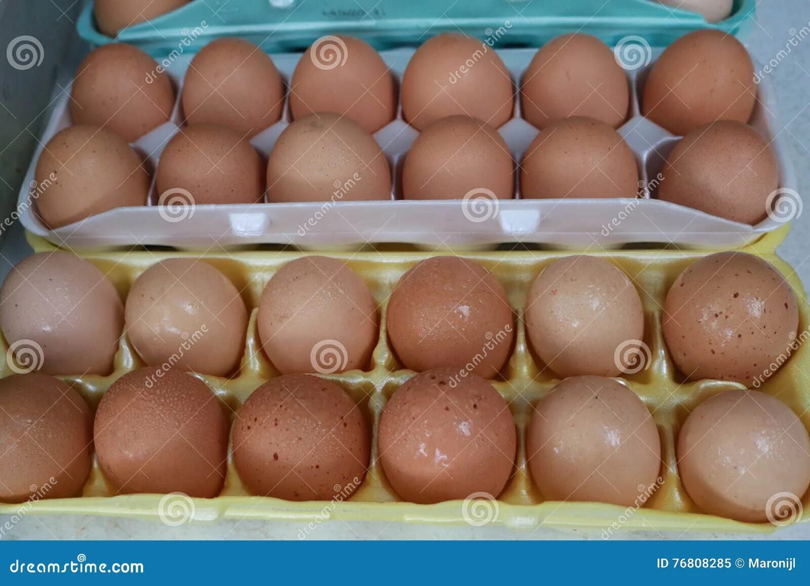Мужские яйца цена сколько. Стоимость человеческого яйца.