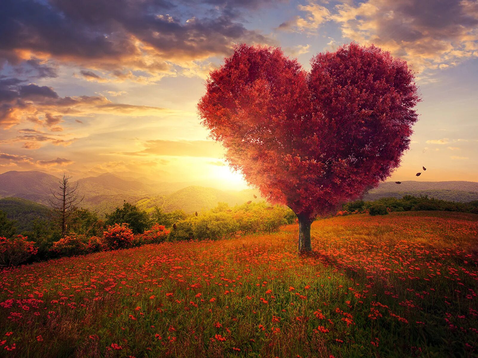 My heart dj antonio. Drei эмика. Ilkay sencan synchronized (feat. Emika my heart bleeds melody. My heart dj antonio.