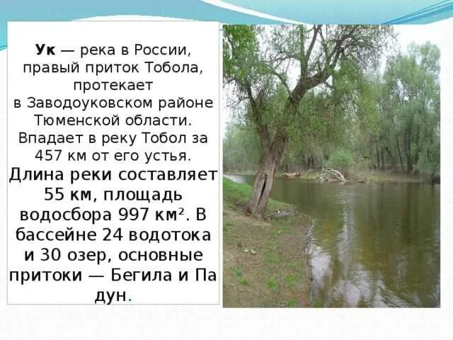 Откуда берет начало тобол. Река УК Заводоуковский район. Сообщение о реке тура. Притоки реки Тобол. Рассказ о реке Тобол.