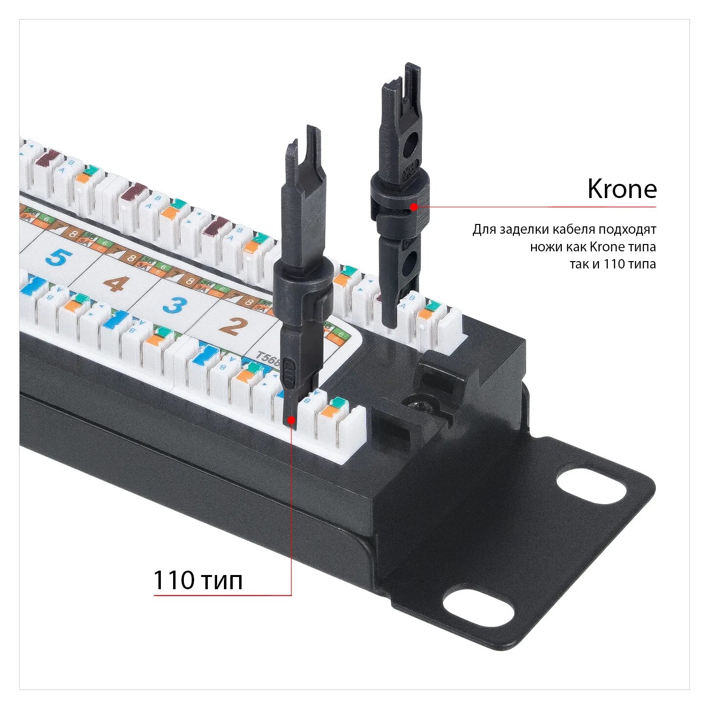 Патч панель cabeus 24 порта. Pl-24-cat.6-dual idc. патч панель cabeus pl-24. pl-24-cat.6-sh-dual idc. cabeus pl-24-cat.6-dual idc.