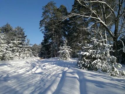 Дзержинске на 14 дней