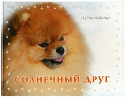 Солнце друг