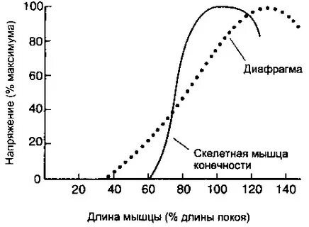 Длина покоя