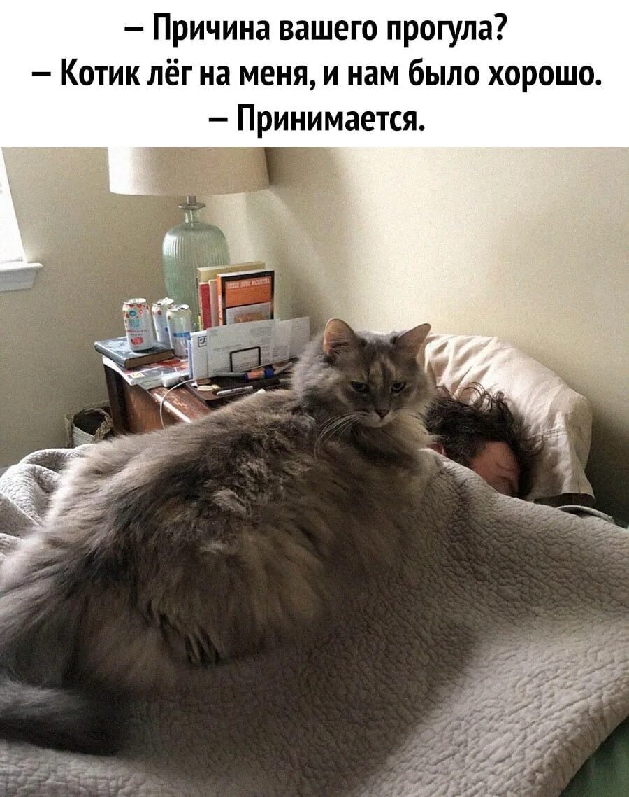 Почему опоздание приходит сообщение