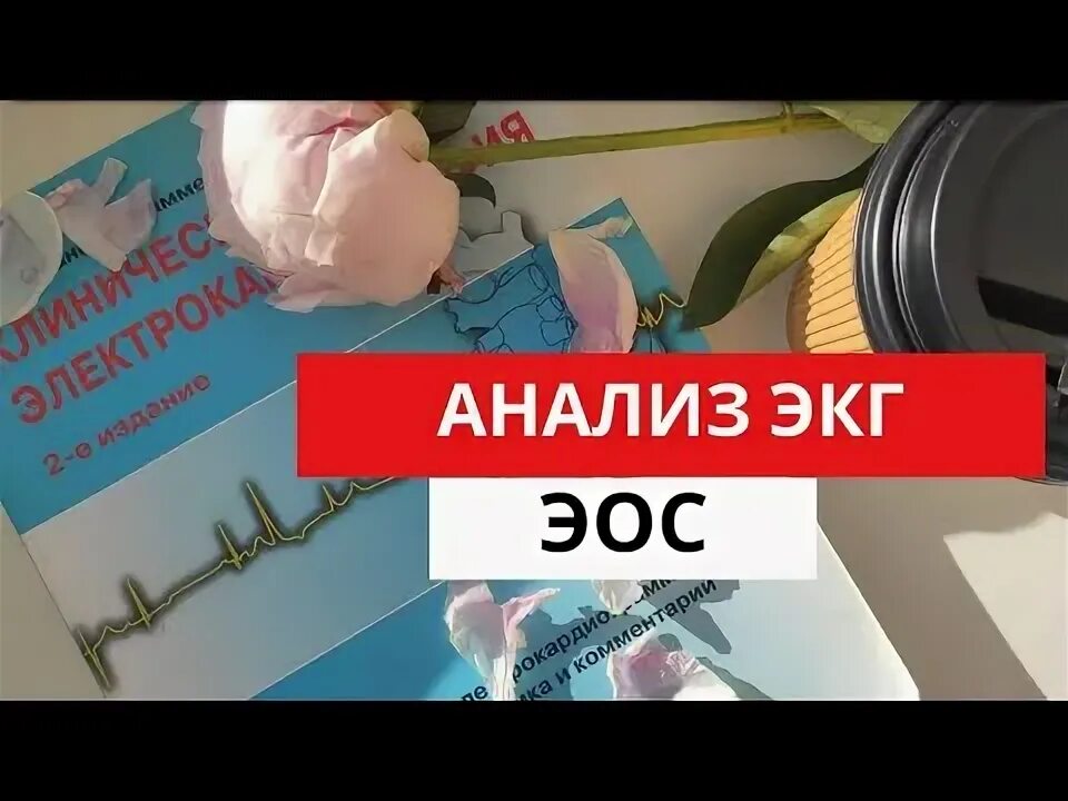 Срок анализов экг. Срок анализов экг