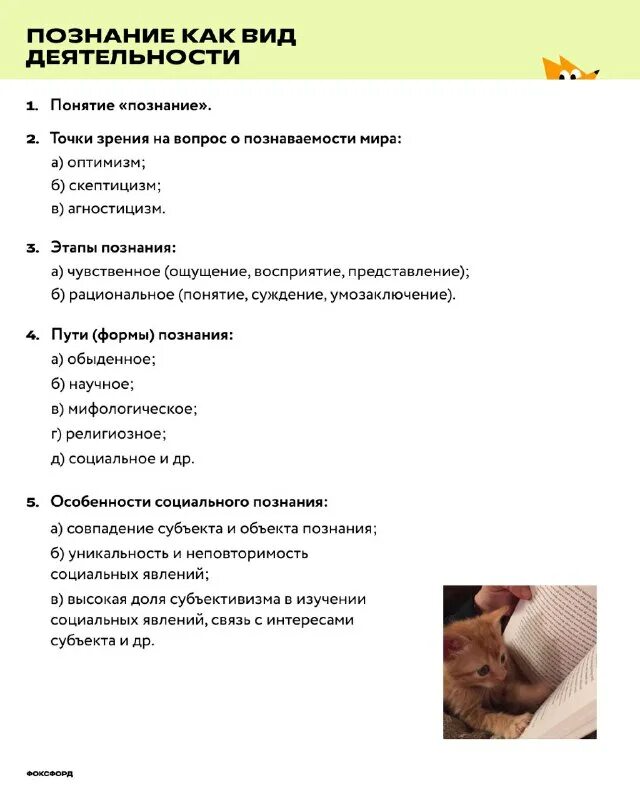 фоксфорд обществознание егэ